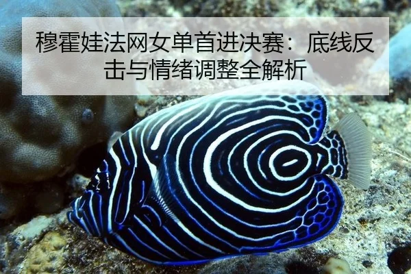 mu-huo-wa-fa-wang-nv-dan-shou-jin-jue-sai-di-xian-fan-ji-yu-qing-xu-tiao-zheng-quan-jie-xi-2-348.jpg